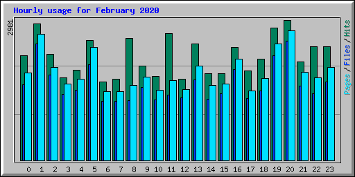 Hourly usage for February 2020