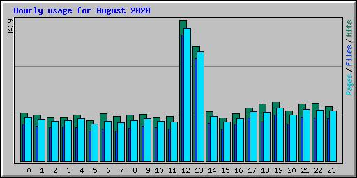 Hourly usage for August 2020