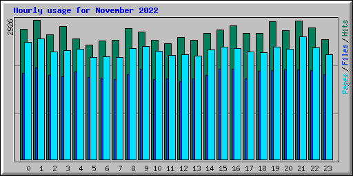 Hourly usage for November 2022