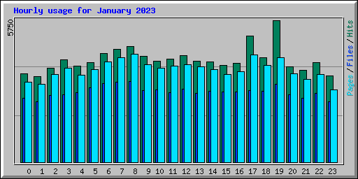 Hourly usage for January 2023