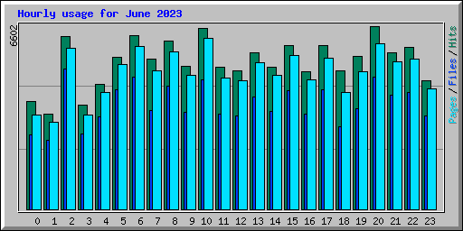 Hourly usage for June 2023