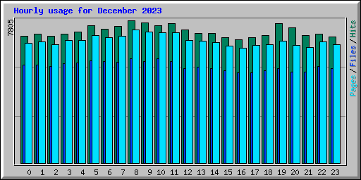 Hourly usage for December 2023