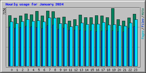 Hourly usage for January 2024