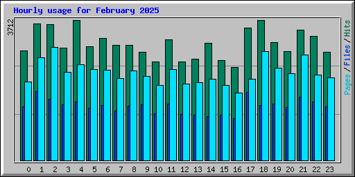 Hourly usage for February 2025