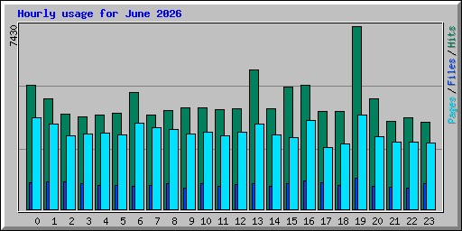 Hourly usage for June 2026