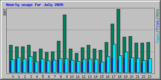 Hourly usage for July 2026
