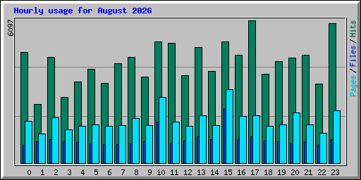 Hourly usage for August 2026